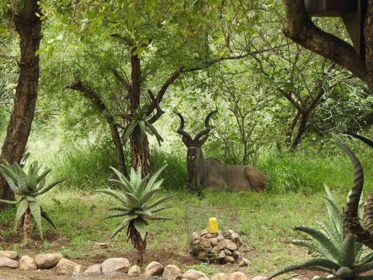 Lituba Place Marloth Park Exteriér fotografie
