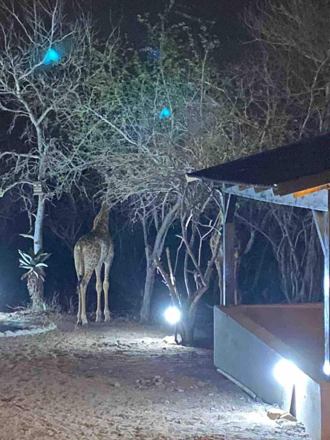 Lituba Place Marloth Park Exteriér fotografie